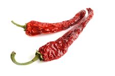 Dried Red Hot Chili Pepper Royalty Free Stock Image