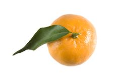 Orange Tangerine With Leaf Royalty Free Stock Images Orange Tangerine With Leaf Royalty Free Stock Images