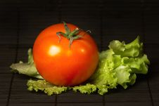 Tomato With Salad Stock Photo Tomato With Salad Stock Photo