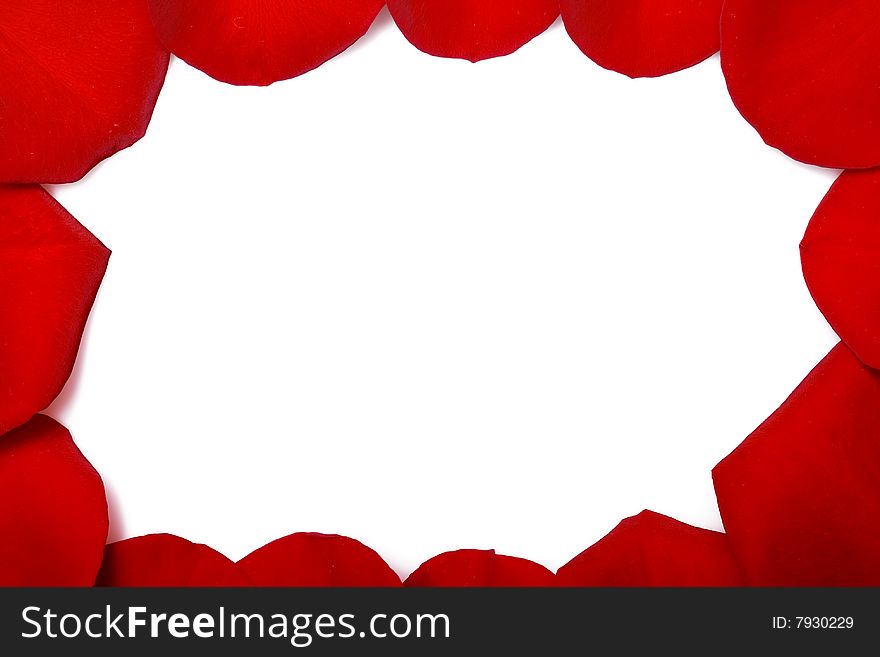 Red rose petals frame isolated on white background