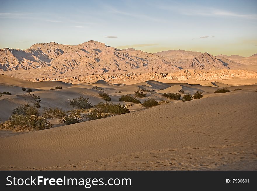 Spreading Shadows Over The Dunes