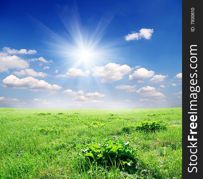 Field of green grass and blue sun sky