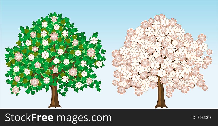 Vector illustration of isolated spring trees. Vector illustration of isolated spring trees
