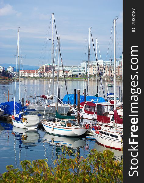 The white yachts on the quiet water. The white yachts on the quiet water.