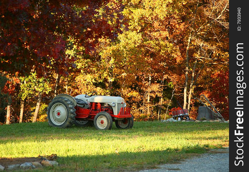 Red and Grey Vintage Tractor in the Fall. Red and Grey Vintage Tractor in the Fall