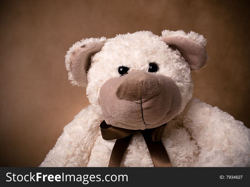 Teddy bear toy on a brown background