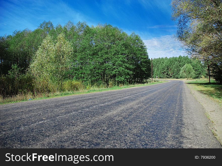 Asphalt road between green trees at the forest. Asphalt road between green trees at the forest