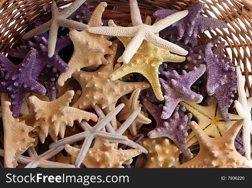 Basket With Starfishes