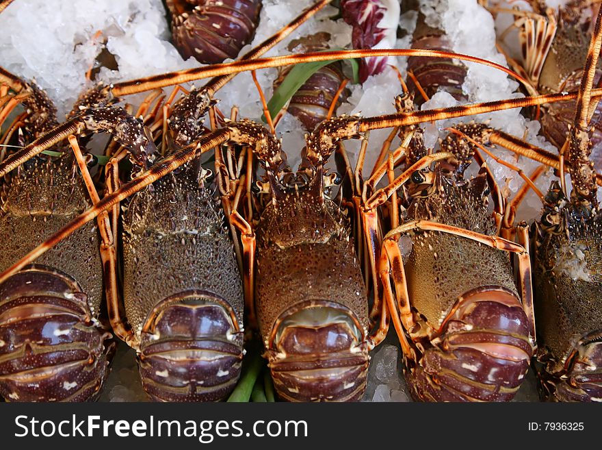 Fresh lobsters lie on ice