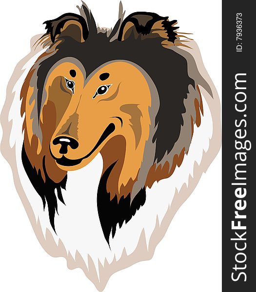 Portrait of rough sable collie, handmade of my sketch. Portrait of rough sable collie, handmade of my sketch.