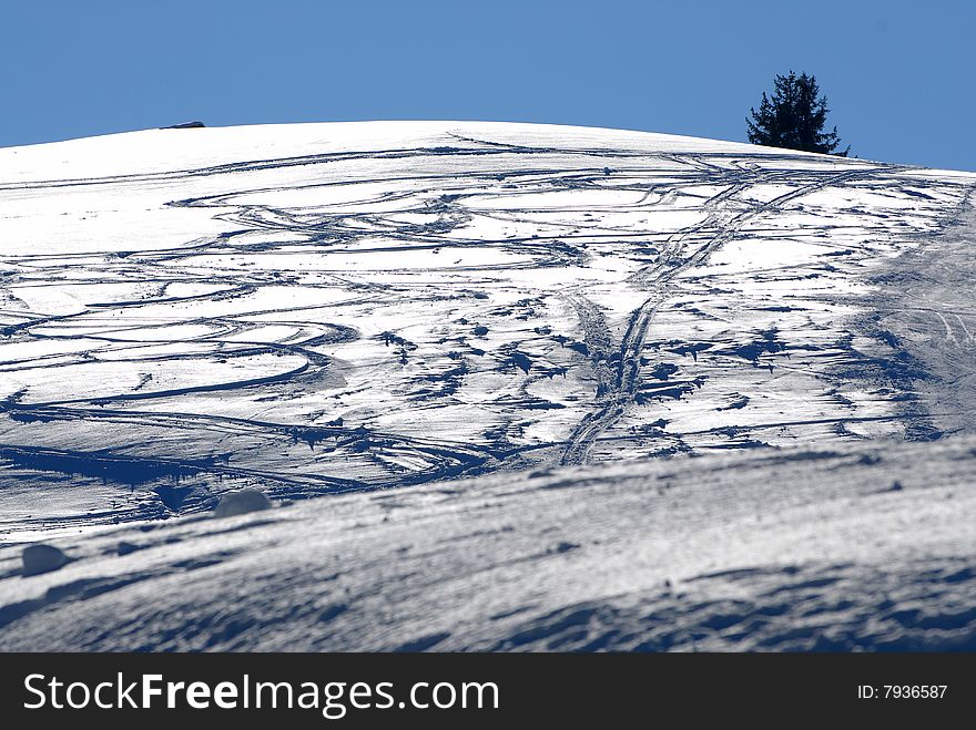 Skis Tracks On The Snow