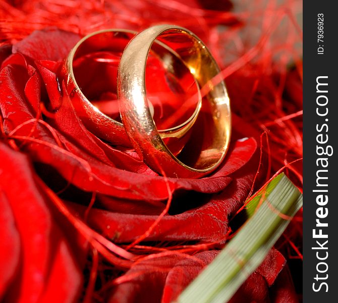 Two engagement rings on roses.