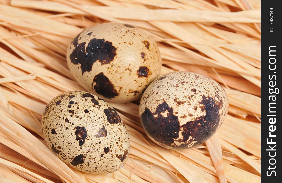 Three spotted eggs for background desktop