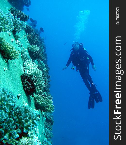 Scuba Diver around Wreck, Red Sea