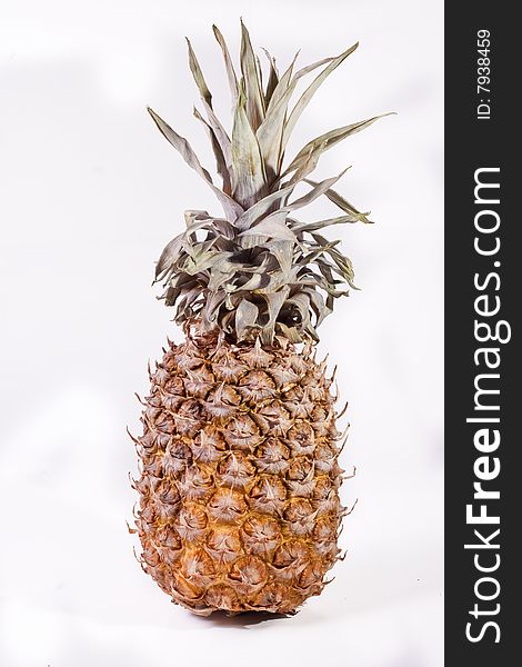 Isolated pineapple fruit on a white program