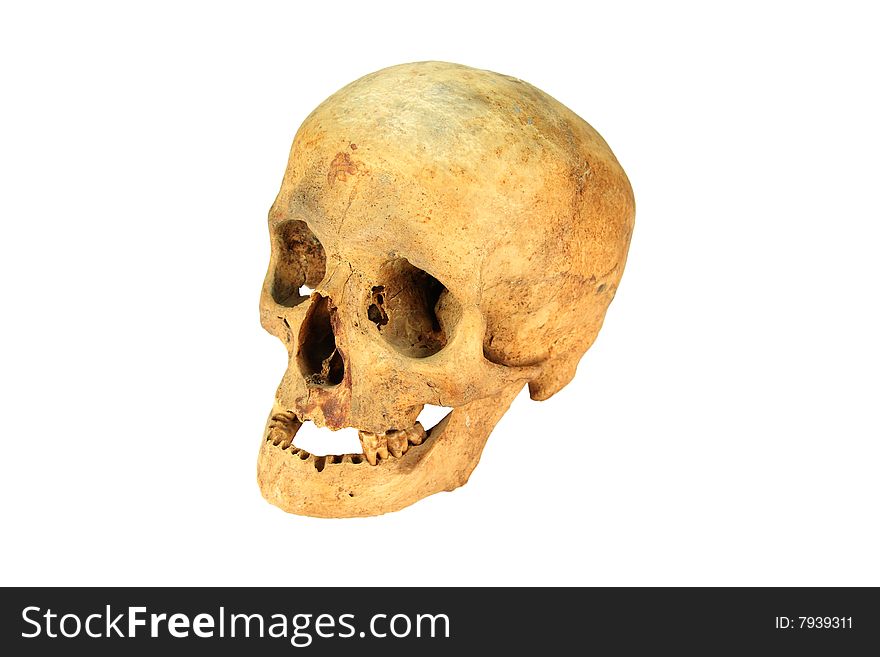 A human skull of an female person