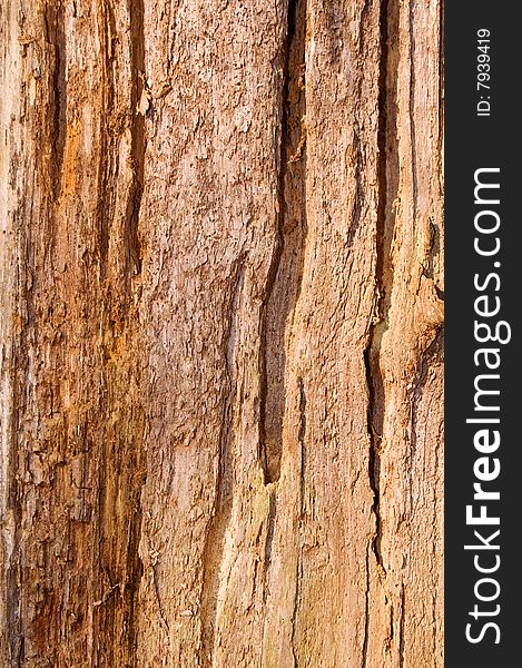 Natural weathered old bark nice for backgrounds. Natural weathered old bark nice for backgrounds