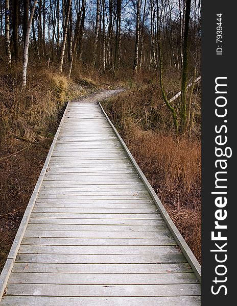 Wooden forest bridge