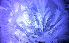 Frozen Glass Stock Images