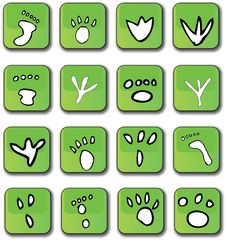 Green Glossy Footprint Icons Royalty Free Stock Photos