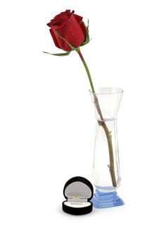 Red Rose In A Vase And Black Gift Box. Royalty Free Stock Images Red Rose In A Vase And Black Gift Box. Royalty Free Stock Images