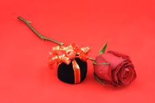 Red Rose And Black Gift Box. Stock Images