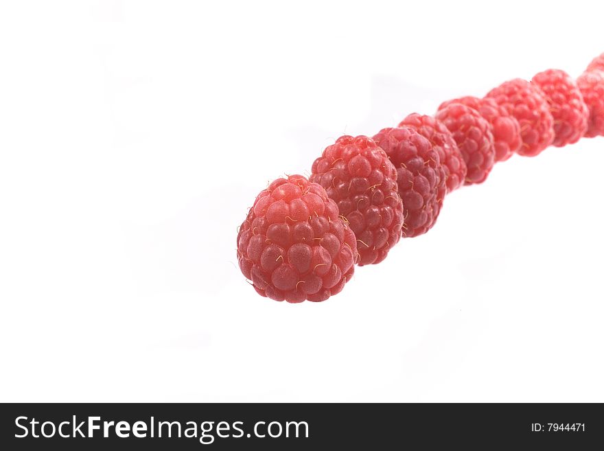 Red raspberry on the white background