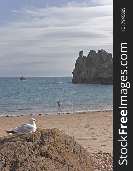 A beach scene including a seagull and bather. A beach scene including a seagull and bather