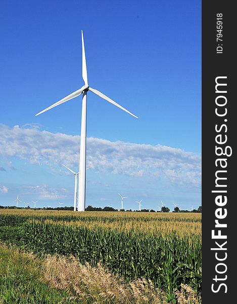 Wind turbines in northern Indiana corn field. Wind turbines in northern Indiana corn field