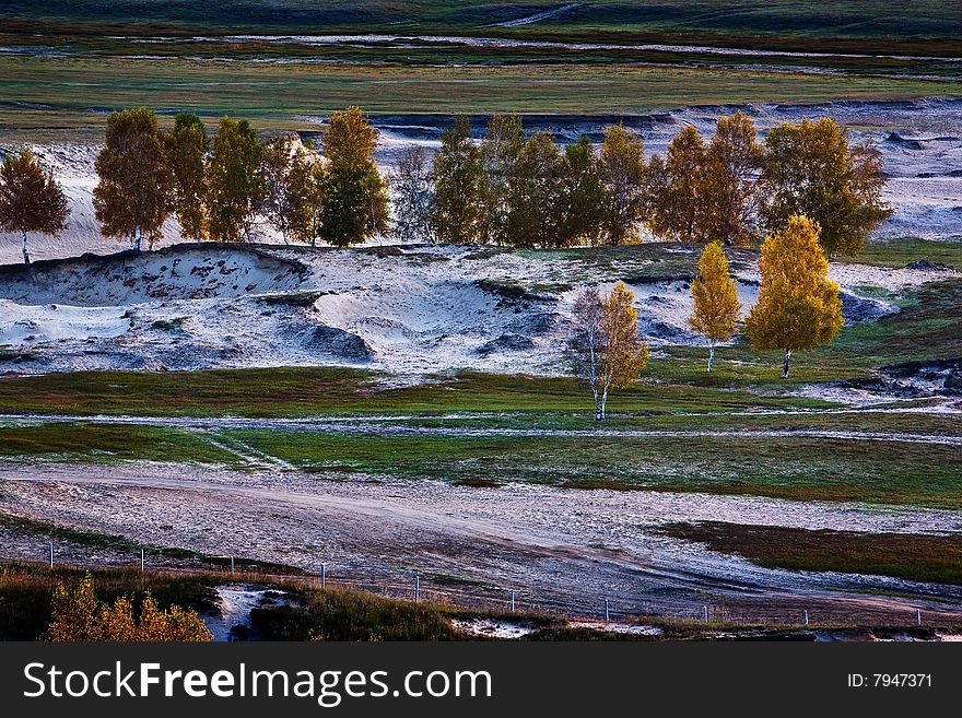 Autumn scenery, in china's inner mongolia saihanba