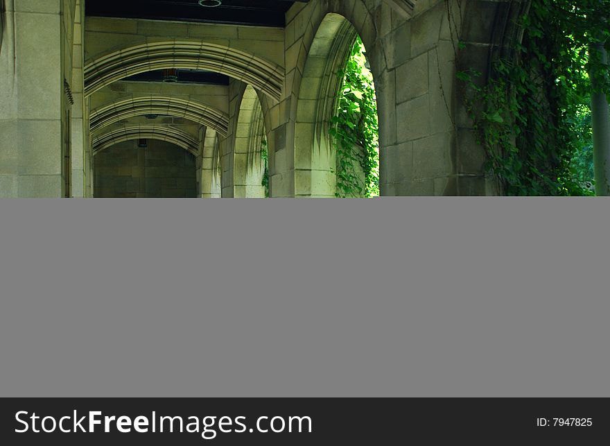 Chicago's cathedral back entrance. Chicago's cathedral back entrance