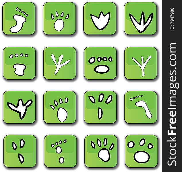 A selection of 16 glossy green vector graphic icons representing different types of foot prints. A selection of 16 glossy green vector graphic icons representing different types of foot prints.