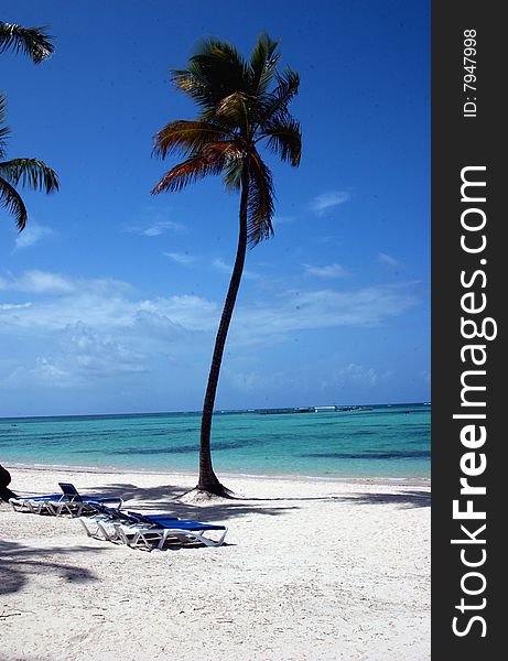 Bavaro Beach in Dominican Republic. Private section for members only. Bavaro Beach in Dominican Republic. Private section for members only