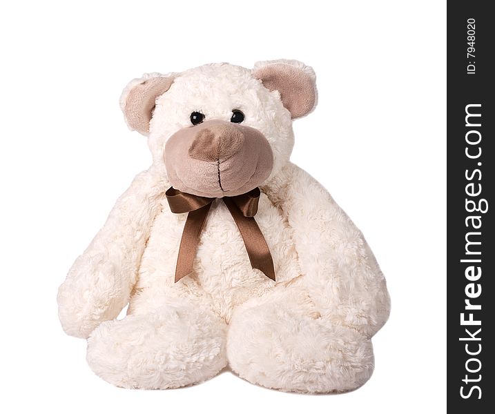 Teddy bear toy isolated on a white