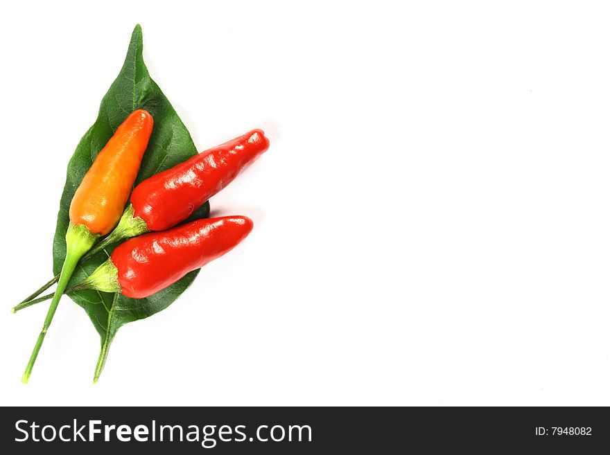 Red and orange chilli on leaf