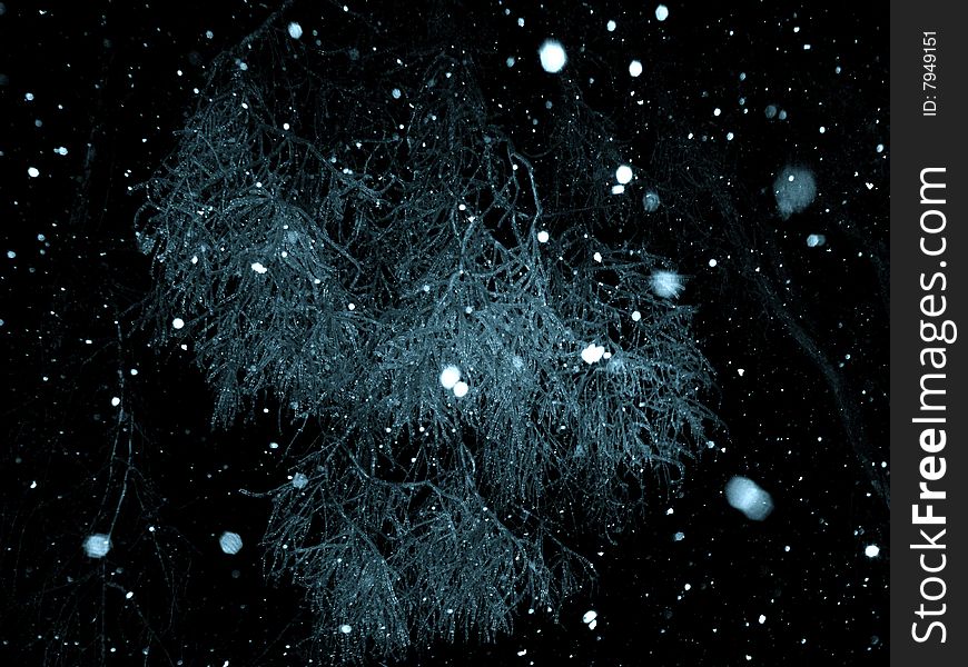 Frozen Branches dangling while snow flurries dance around it. Frozen Branches dangling while snow flurries dance around it