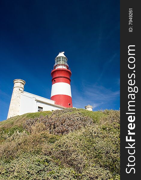 Perspective shot of lighthouse against blue sky and plants in foreground,focus on building.At cape Agulhas,the southern most point of africa