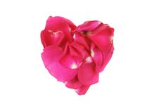 Rose Heart Stock Images