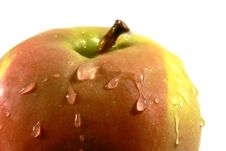 Red Apple With Water Drops Royalty Free Stock Image