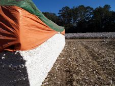 Cotton Module Royalty Free Stock Photos Cotton Module Royalty Free Stock Photos