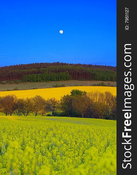 Czech evening landscape with moon. Czech evening landscape with moon