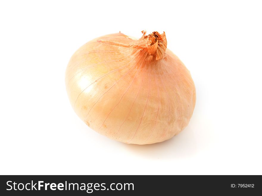 Bulb vegetable food isolated on white background