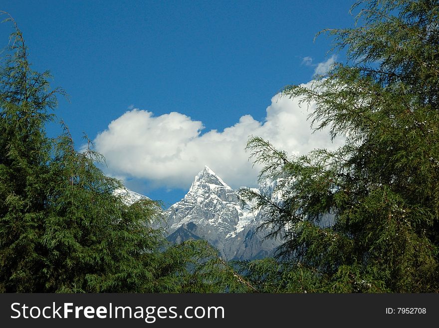 Jade dragon mountain‘s peak with pine tree and cloud