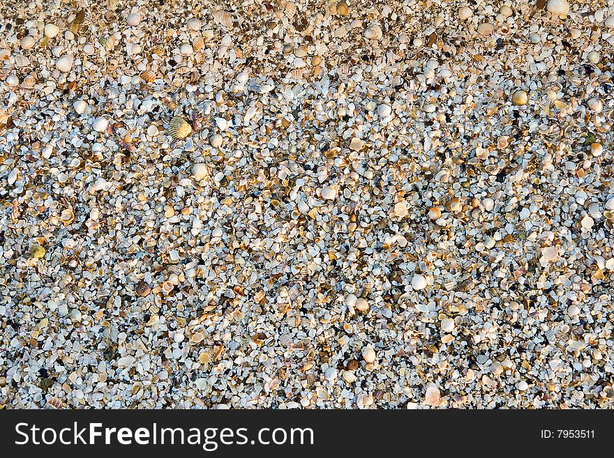 Maritime pebble on the beach. Maritime pebble on the beach