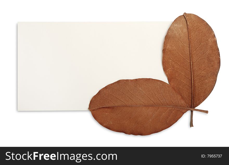 Envelope with magnolia leaves on white background (isolated)