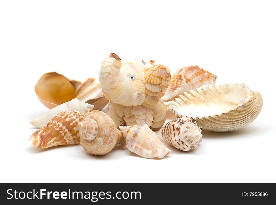 Sea and ocean shells and little elephant figurine made of shells in the center. Sea and ocean shells and little elephant figurine made of shells in the center