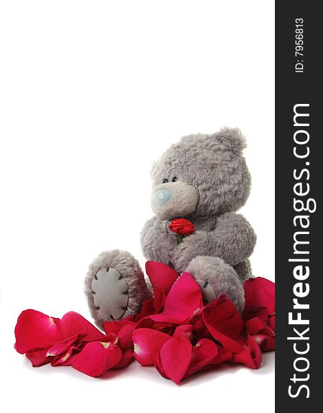 Teddy bear with red rose sitting amongst red rose petals. Teddy bear with red rose sitting amongst red rose petals