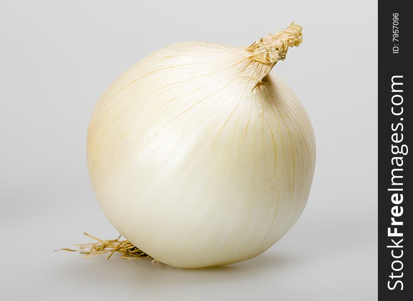 Onion isolated on grey background