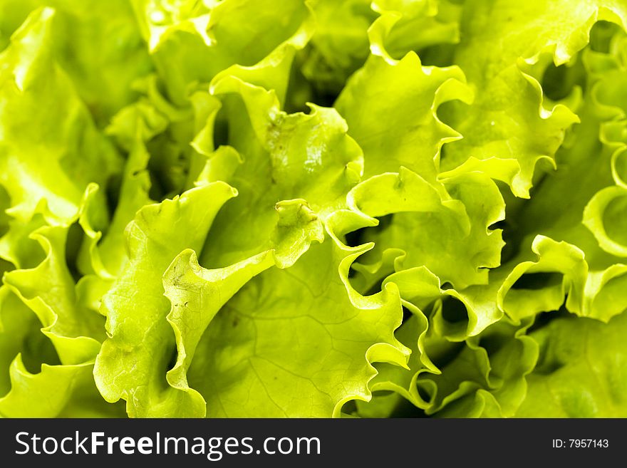 Fresh green salad leaves background