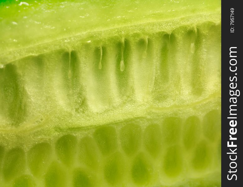 Macrophoto of a core of a cucumber it is light green colour. It is possible to use as a structure or a background. Macrophoto of a core of a cucumber it is light green colour. It is possible to use as a structure or a background.